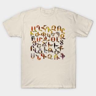 Armenian Fancy Alphabet V2 T-Shirt